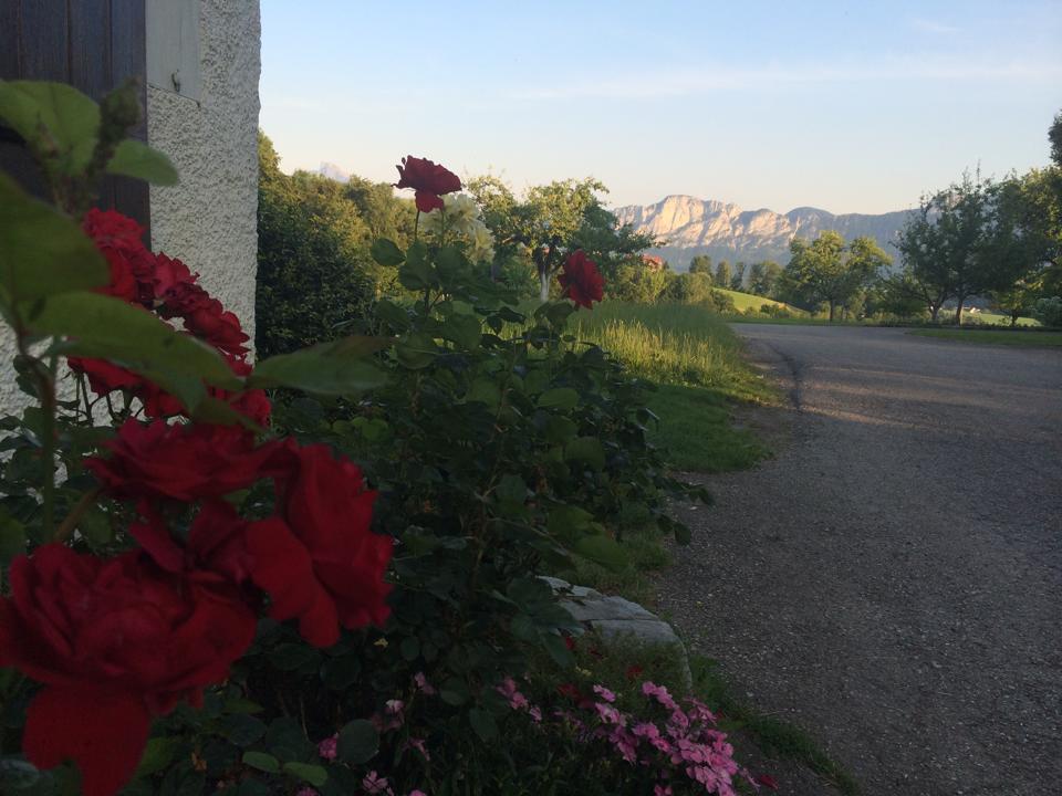Rauhbergerhof Villa Tiefgraben Dış mekan fotoğraf