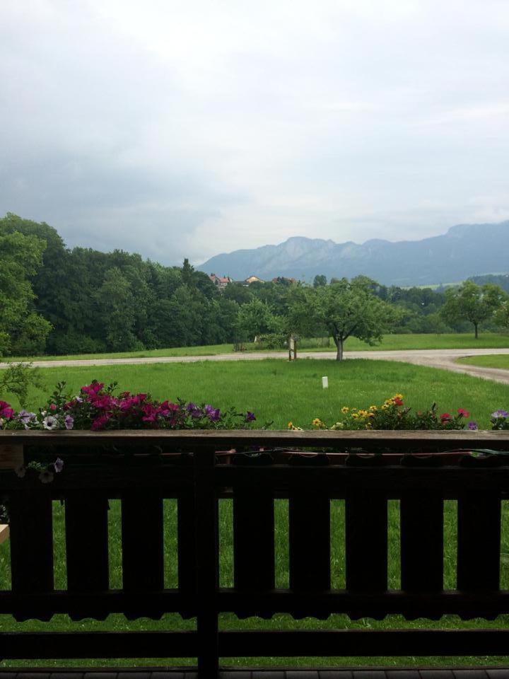 Rauhbergerhof Villa Tiefgraben Oda fotoğraf